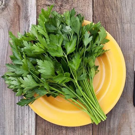 Fresh parsley leaves