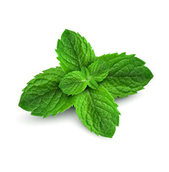 Fresh peppermint leaves